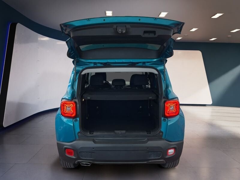 Jeep Renegade 2019 2.0 mjt Limited 4wd 140cv auto 9m usato a Torino