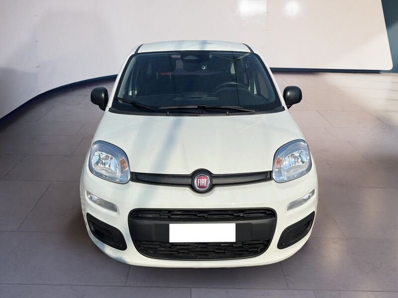 FIAT Pandina Panda My25 1.0 70cv Hybrid Panda  usato a Torino