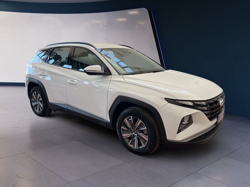 Hyundai Tucson III 2021 1.6 hev Xline 2wd auto usato a Torino