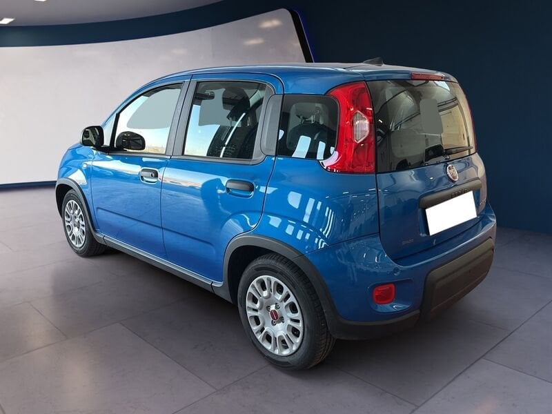 FIAT Panda My24 1.0 70cv Hybrid Panda usato a Torino