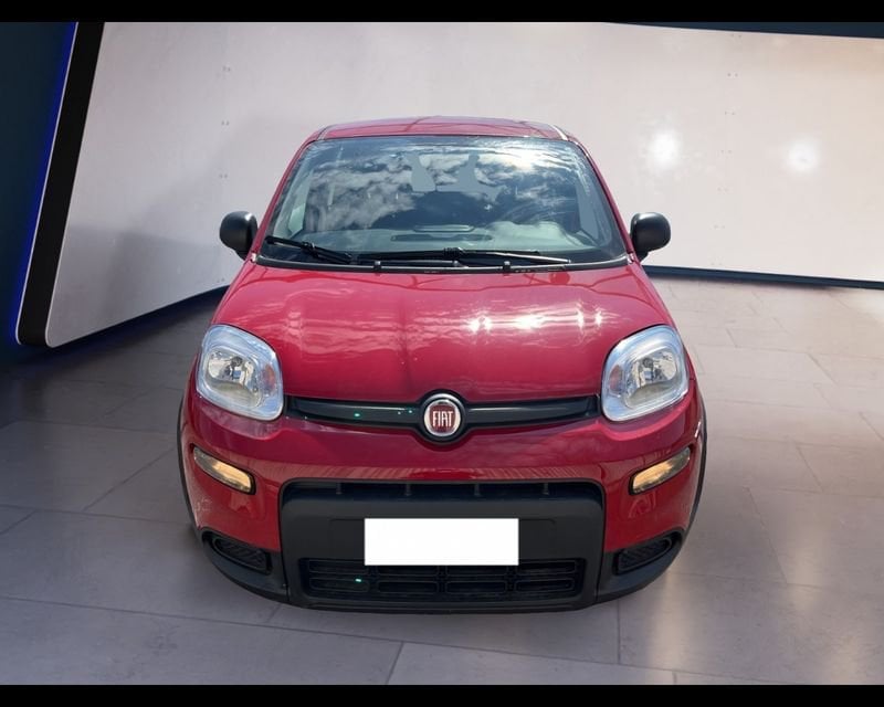 FIAT Panda My24 1.0 70cv Hybrid Panda  usato a Torino