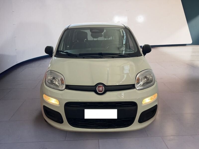 FIAT Pandina Panda My25 1.0 70cv Hybrid Panda ibrida usato a Torino