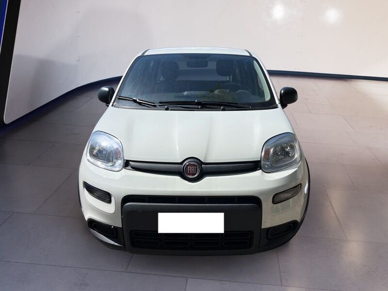FIAT Panda My23 1.0 70cv Hybrid Panda  usato a Torino
