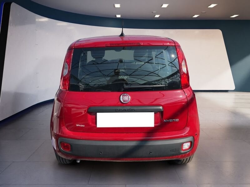 FIAT Pandina Panda My25 1.0 70cv Hybrid Panda ibrida usato a Torino