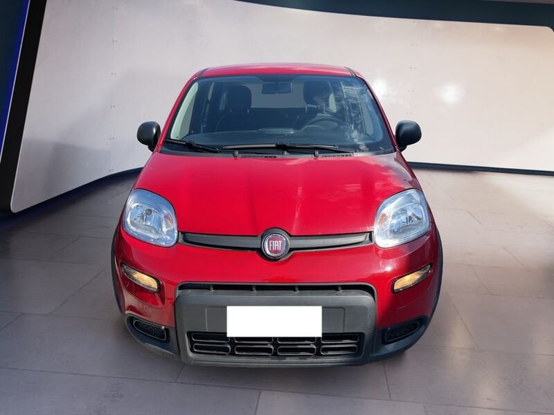 FIAT Panda My24 1.0 70cv Hybrid Panda  usato a Torino