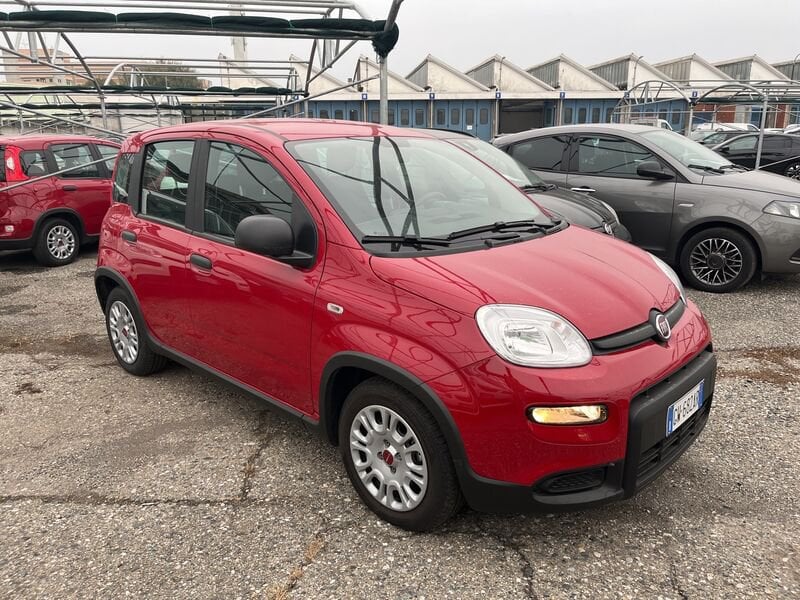 FIAT Panda My24 1.0 70cv Hybrid Panda  usato a Torino