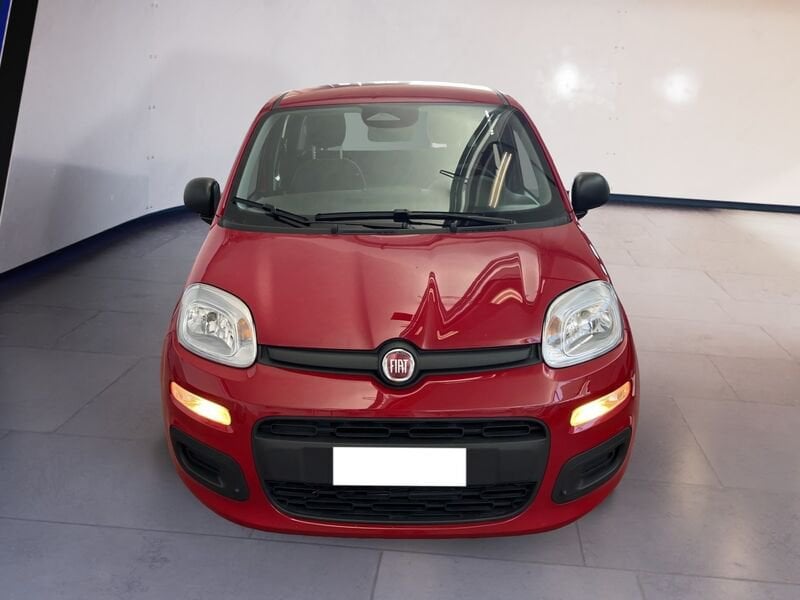FIAT Pandina Panda My25 1.0 70cv Hybrid Panda  usato a Torino