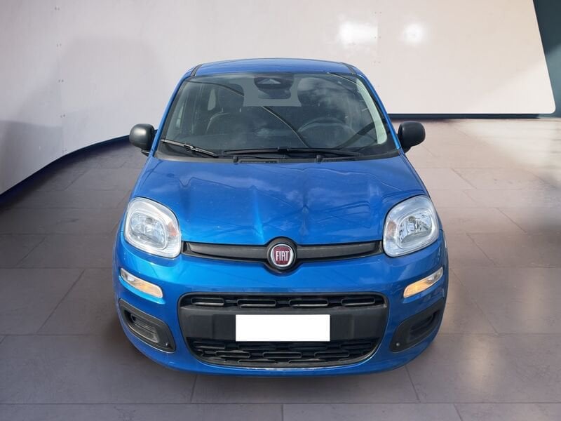 FIAT Pandina Panda My25 1.0 70cv Hybrid Panda ibrida usato a Torino