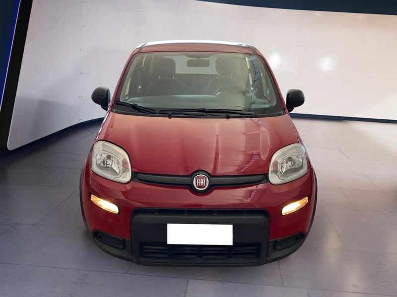 FIAT Panda My24 1.0 70cv Hybrid Panda  usato a Torino