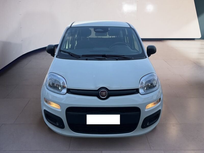 FIAT Pandina Panda My25 1.0 70cv Hybrid Panda  usato a Torino