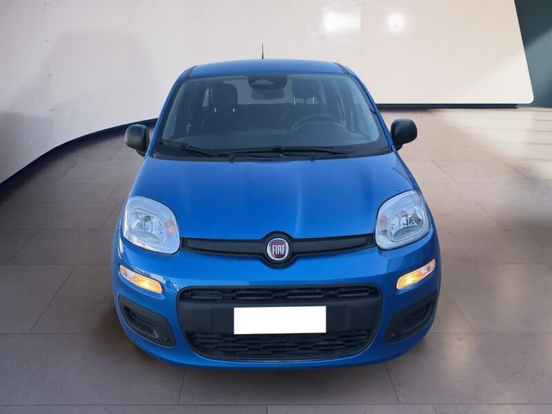 FIAT Pandina Panda My25 1.0 70cv Hybrid Panda ibrida usato a Torino