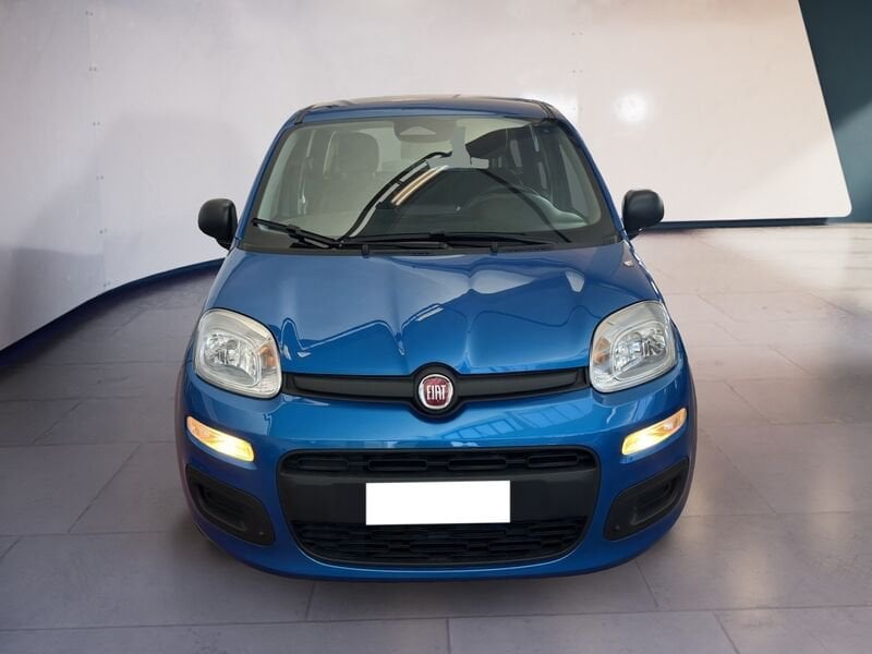 FIAT Pandina Panda My25 1.0 70cv Hybrid Panda  usato a Torino