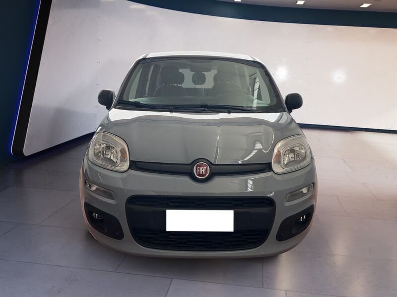 FIAT Panda III 2021 1.0 firefly hybrid s&s 70cv 5p.ti  usato a Torino