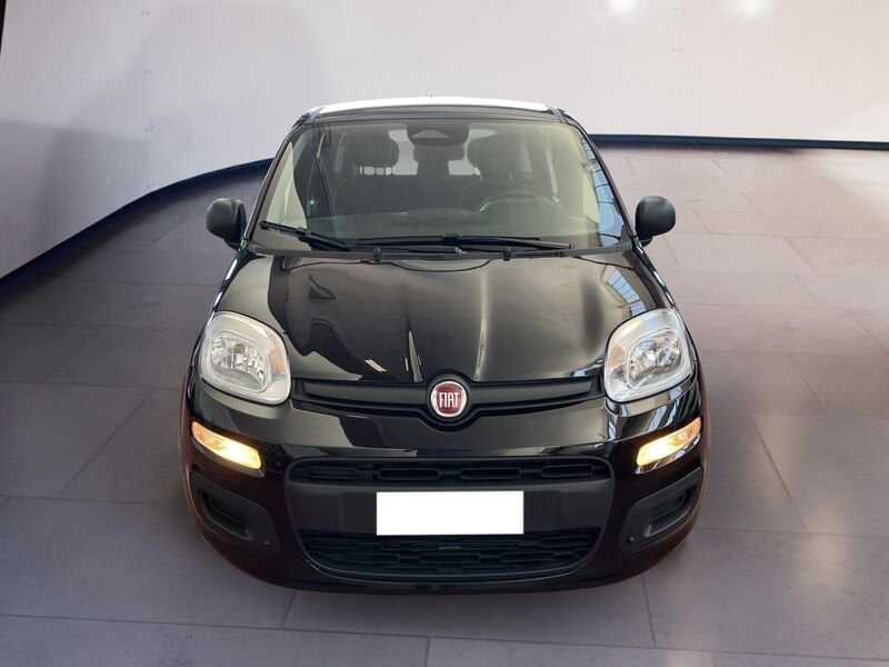 FIAT Pandina Panda My25 1.0 70cv Hybrid Panda  usato a Torino