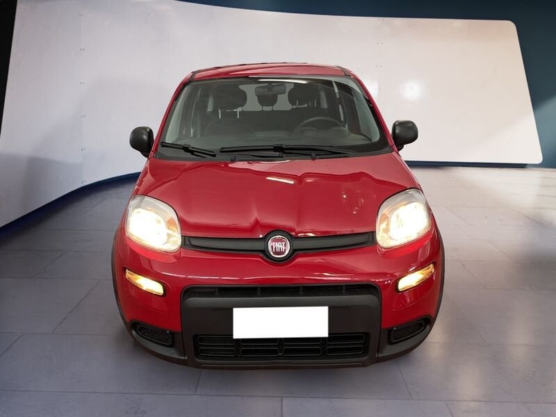 FIAT Panda My24 1.0 70cv Hybrid Panda  usato a Torino