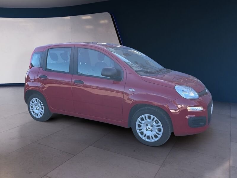 FIAT Pandina Panda My25 1.0 70cv Hybrid Panda usato a Torino