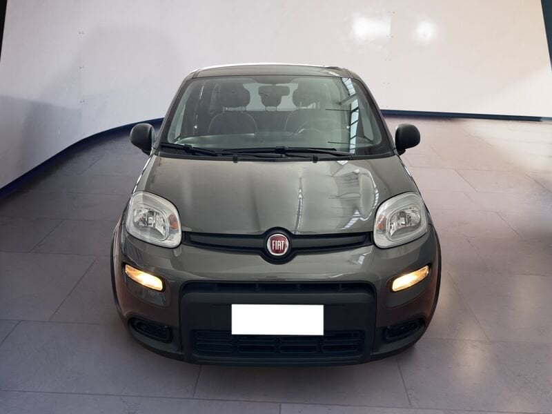 FIAT Panda III 2021 1.0 firefly hybrid s&s 70cv 5p.ti  usato a Torino