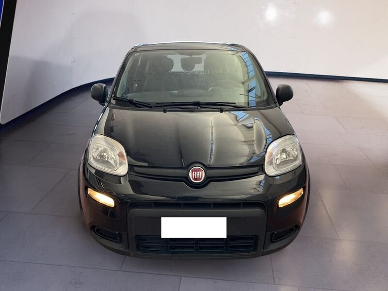 FIAT Panda Pandina III 2024 1.0 firefly hybrid s&s 70cv 5p.ti  usato a Torino