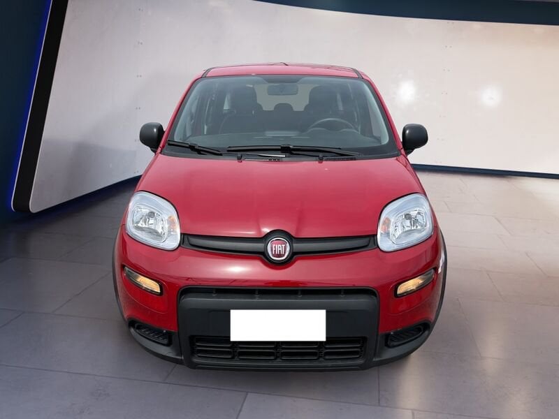 FIAT Panda My24 1.0 70cv Hybrid Panda  usato a Torino
