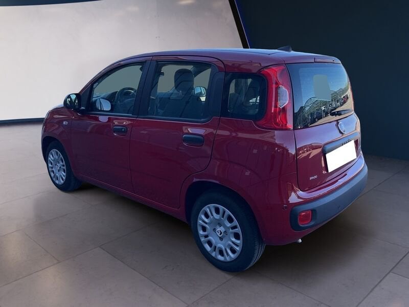 FIAT Pandina Panda My25 1.0 70cv Hybrid Panda usato a Torino