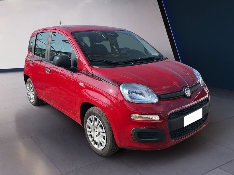 FIAT Pandina Panda My25 1.0 70cv Hybrid Panda ibrida usato a Torino