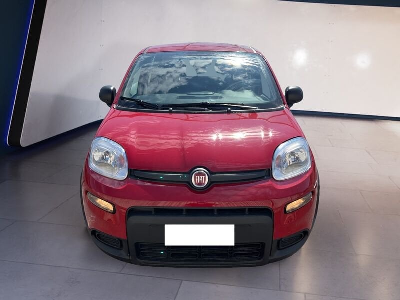 FIAT Panda My24 1.0 70cv Hybrid Panda  usato a Torino