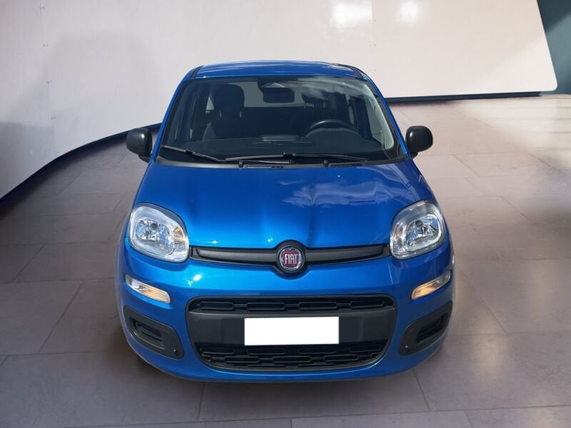 FIAT Pandina Panda My25 1.0 70cv Hybrid Panda  usato a Torino