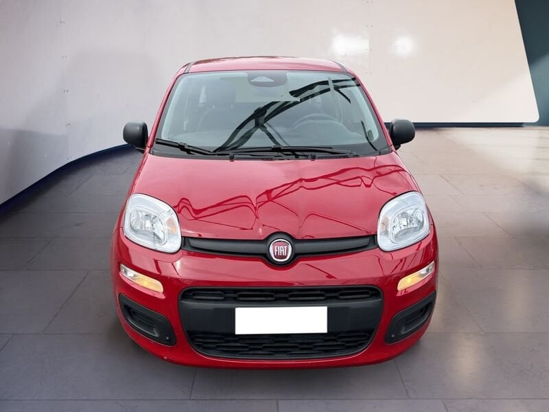 FIAT Pandina Panda My25 1.0 70cv Hybrid Panda ibrida usato a Torino