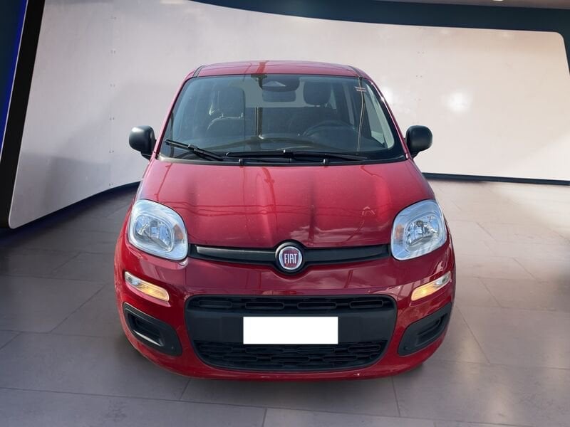 FIAT Pandina Panda My25 1.0 70cv Hybrid Panda ibrida usato a Torino