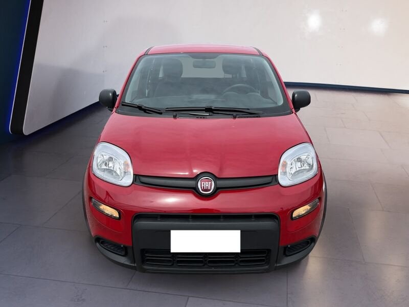 FIAT Panda My24 1.0 70cv Hybrid Panda  usato a Torino