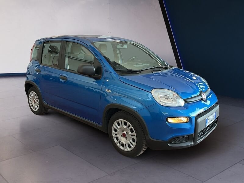 FIAT Panda My24 1.0 70cv Hybrid Panda usato a Torino