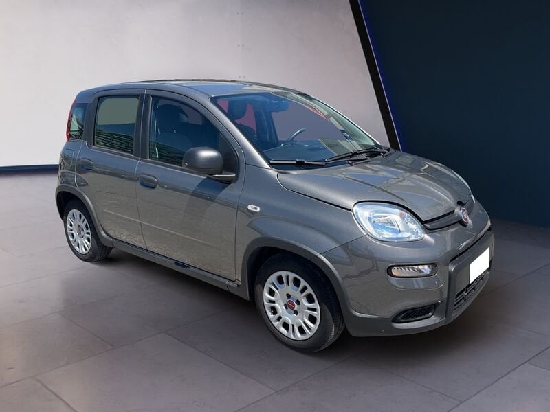 FIAT Panda III 2021 1.0 firefly hybrid s&s 70cv usato a Torino