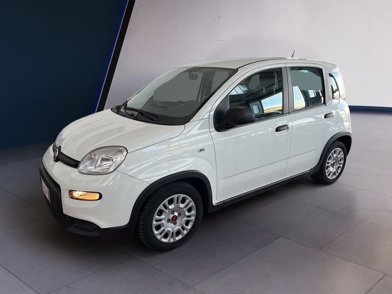 FIAT Panda III 2021 1.0 firefly hybrid s&s 70cv usato a Torino