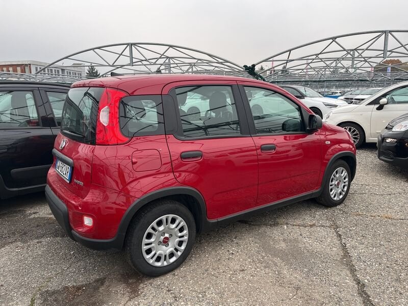 FIAT Panda My24 1.0 70cv Hybrid Panda  usato a Torino