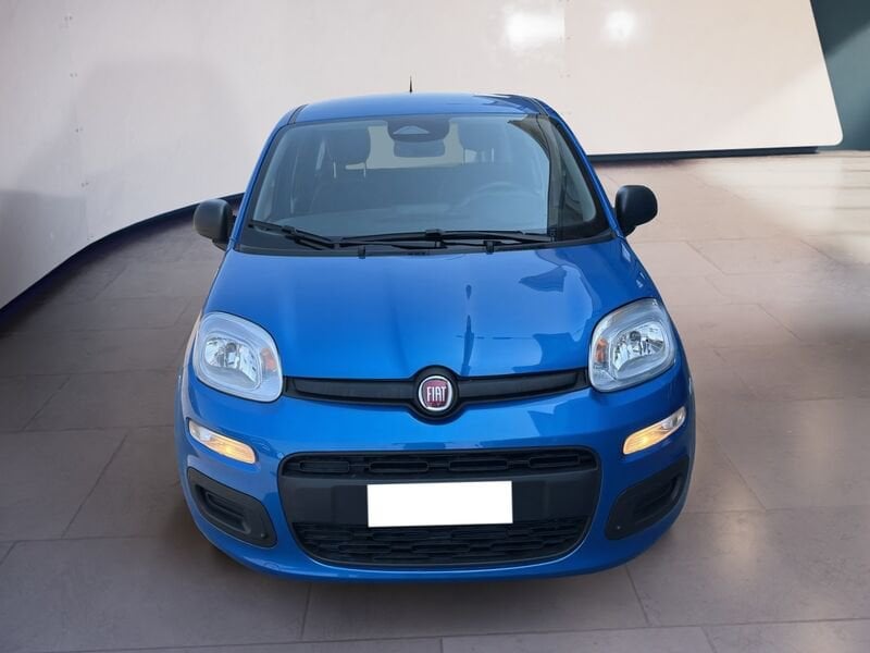 FIAT Pandina Panda My25 1.0 70cv Hybrid Panda  usato a Torino