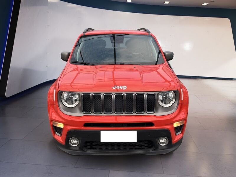 Jeep Renegade 2019 1.6 mjt Limited fwd  usato a Torino