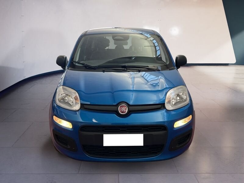 FIAT Pandina Panda My25 1.0 70cv Hybrid Panda  usato a Torino