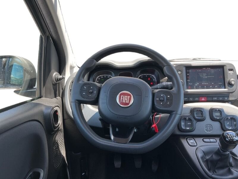 FIAT Panda Cross Panda III 2021 Cross Panda 1.0 firefly hybrid Cross s&s 70cv 5p.ti usato a Torino