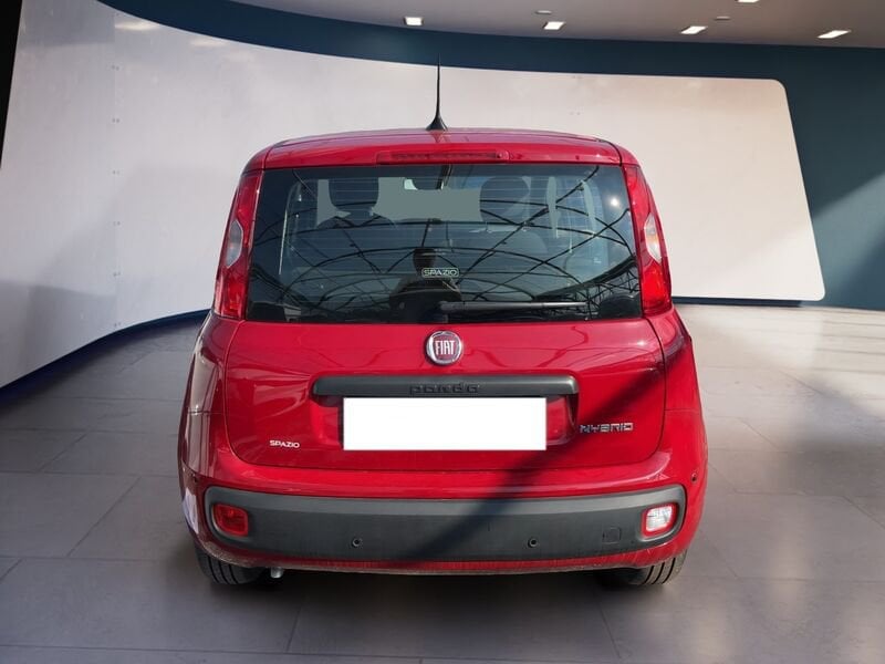 FIAT Pandina Panda My25 1.0 70cv Hybrid Panda ibrida usato a Torino