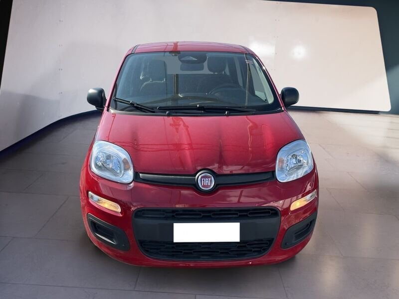 FIAT Pandina Panda My25 1.0 70cv Hybrid Panda ibrida usato a Torino