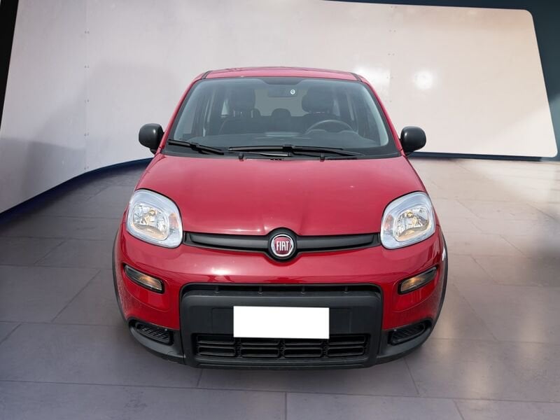FIAT Panda My24 1.0 70cv Hybrid Panda  usato a Torino