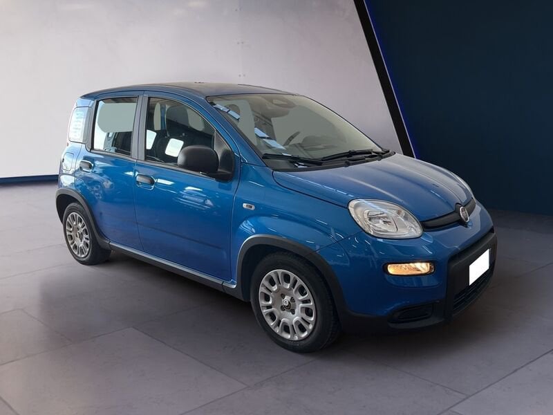 FIAT Panda 1.0 70cv Hybrid Panda usato a Torino