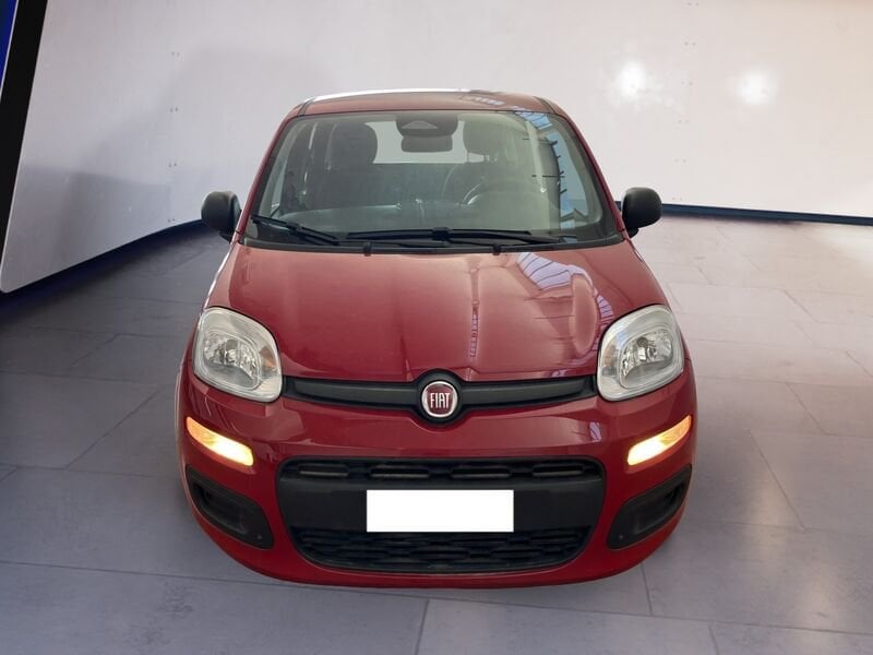 FIAT Pandina Panda My25 1.0 70cv Hybrid Panda ibrida usato a Torino