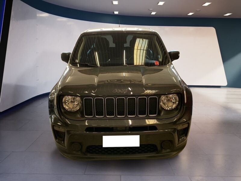 Jeep Renegade 2019 1.0 t3 Longitude 2wd benzina usato a Torino