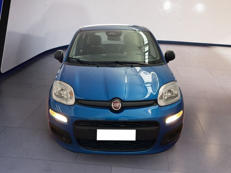 FIAT Pandina Panda My25 1.0 70cv Hybrid Panda ibrida usato a Torino