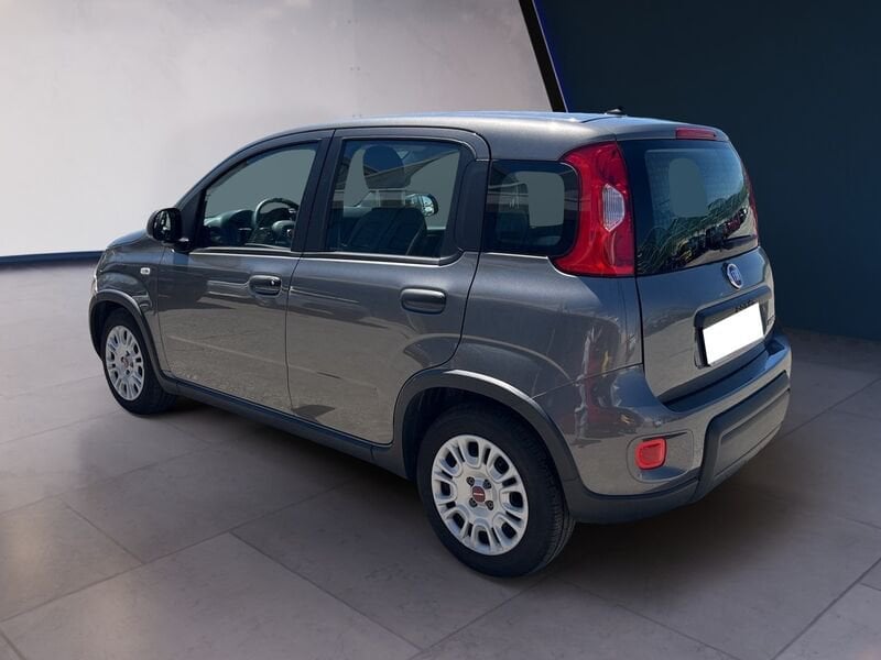 FIAT Panda III 2021 1.0 firefly hybrid s&s 70cv usato a Torino