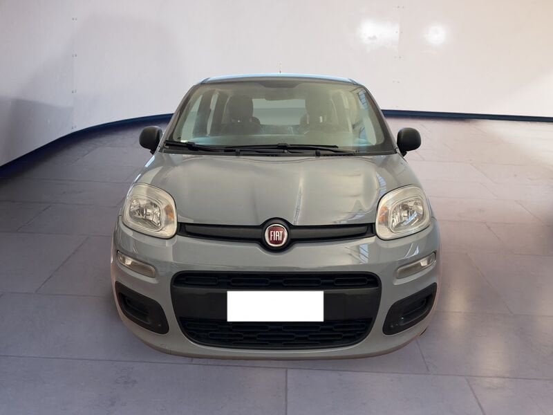 FIAT Panda III 2016 1.2 Easy easypower Gpl 69cv  usato a Torino