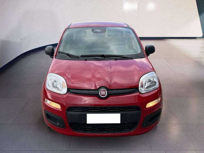 FIAT Pandina Panda My25 1.0 70cv Hybrid Panda ibrida usato a Torino
