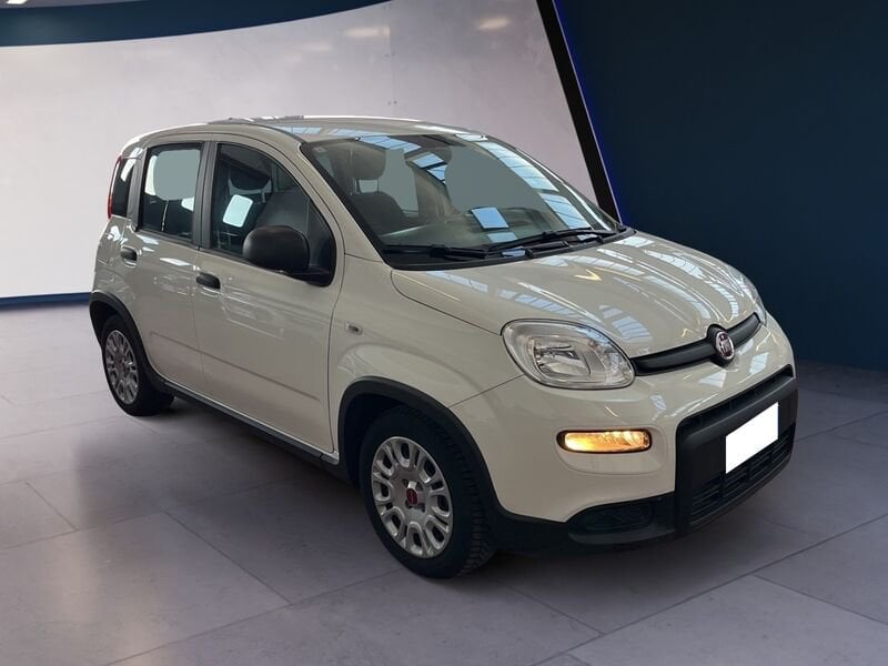 FIAT Panda III 2021 1.0 firefly hybrid s&s 70cv usato a Torino