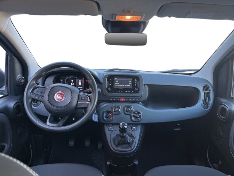 FIAT Pandina Panda My25 1.0 70cv Hybrid Panda ibrida usato a Torino